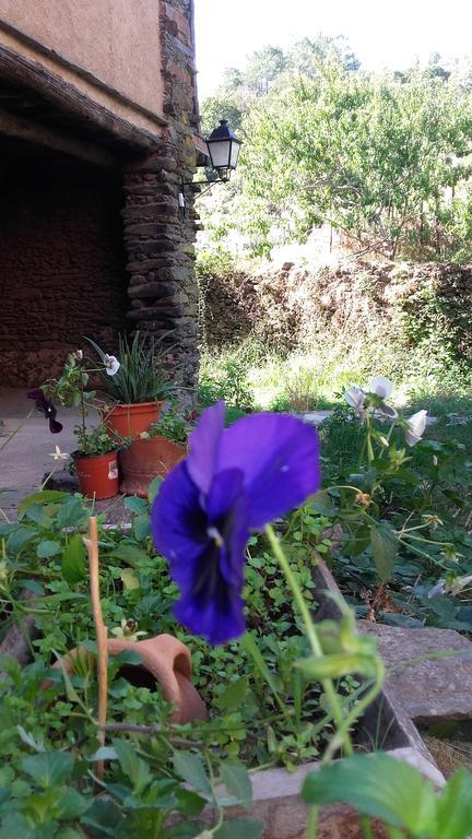 Los Balcones Del Rio Robledillo De Gata Eksteriør billede